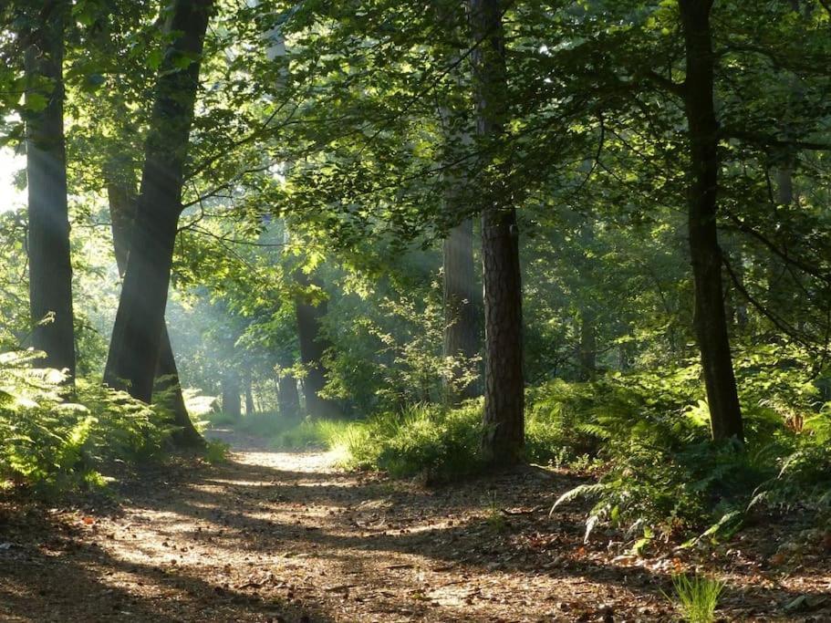 Вилла Natuurhuisje Ойстервейк Экстерьер фото