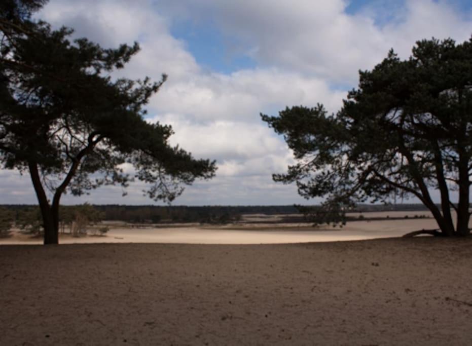 Вилла Natuurhuisje Ойстервейк Экстерьер фото